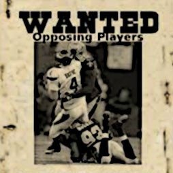 National Bounty Association Fantasy Football Logo
