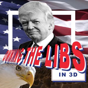 Owning the Libs in 3D